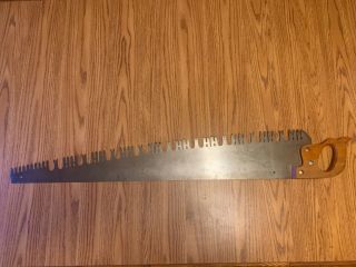 Vintage HENRY DISSTON 514 one man cross cut saw.  LANCE PERFORATED 42 - 1/2” 6