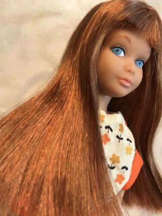 Very Pretty Brunette/auburn S/l Skipper Doll Color Magic Hair In Clone Dress Ex