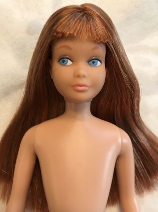 Very Pretty Brunette/Auburn S/L Skipper Doll Color Magic Hair in Clone Dress EX 2