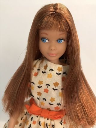 Very Pretty Brunette/Auburn S/L Skipper Doll Color Magic Hair in Clone Dress EX 3