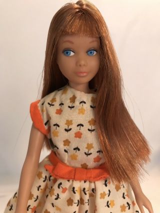 Very Pretty Brunette/Auburn S/L Skipper Doll Color Magic Hair in Clone Dress EX 4