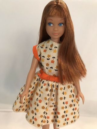 Very Pretty Brunette/Auburn S/L Skipper Doll Color Magic Hair in Clone Dress EX 5