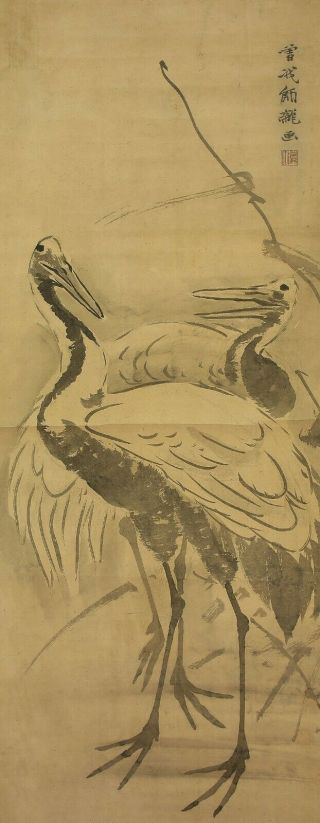 掛軸1967 Japanese Hanging Scroll : Soga Shohaku / Shiryu " Two Cranes " @e220