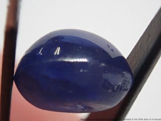 GIA Certified Stunning Blue RARE 6.  03ct Natural Star Sapphire Cabochon No Heat 12