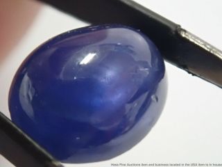 GIA Certified Stunning Blue RARE 6.  03ct Natural Star Sapphire Cabochon No Heat 2