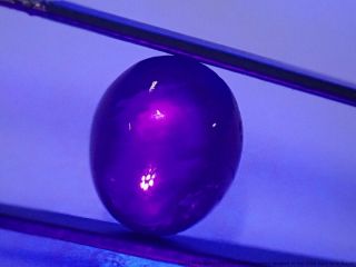 GIA Certified Stunning Blue RARE 6.  03ct Natural Star Sapphire Cabochon No Heat 7