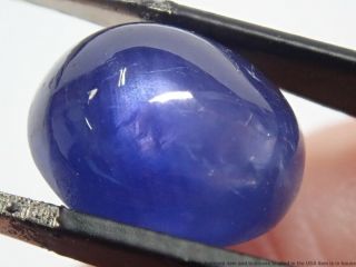 GIA Certified Stunning Blue RARE 6.  03ct Natural Star Sapphire Cabochon No Heat 8