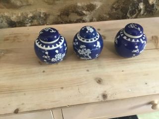 Trio Hand Painted Royal Blue/cream Ginger Jar - Floral