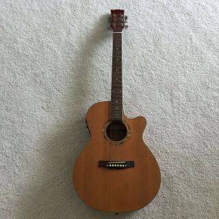 Vintage Martin Acoustic Guitar