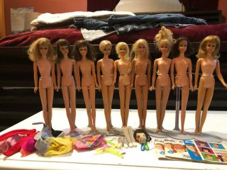 9 Francie,  Casey And Twiggy Dolls With Accessories