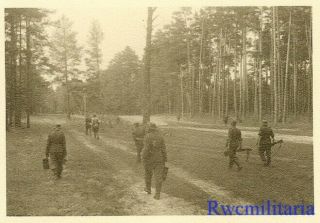 Move Ost Wehrmacht Combat Infantry Truppe Cautiously Moves Through Woods