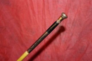 Very Unique Vintage Gold Handled Cane W/spring Steel Shaft & Tip 1920s