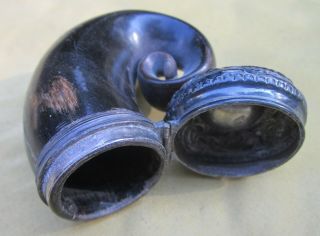 Two Antique Horn Snuff Mulls 4