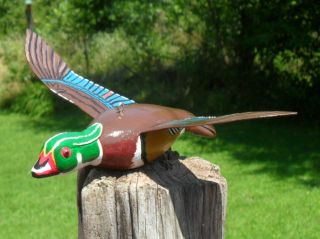 Ice Fishing Decoy Wood Duck Hand carved Folk Art by Sheila Cates 5