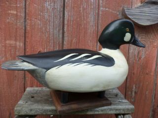 Oversize Goldeneye Drake By William Bill Goenne Decoy