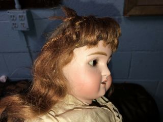 26 " Antique Bisque Head German French Doll Unsigned Shoulder Head L@@k