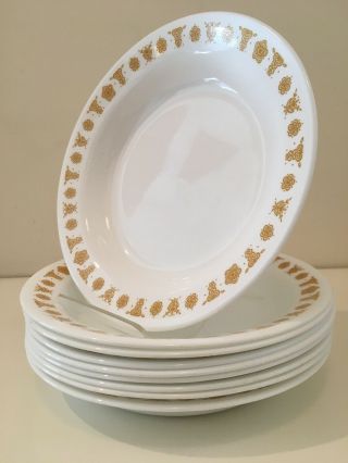 9 Vintage Corelle Pyrex Compatibles Butterfly Gold Flat Rim Pasta Soup Bowls EUC 2