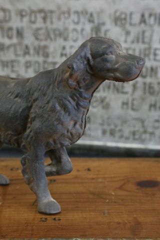 Vintage Retriever Dog Cast Iron Door Stop English Setter Hunting Dog Pointer old 2