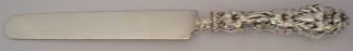 Old Sterling Whiting Mfg Lily 9 3/4 " Fat Handled Dinner Knife Blunt Plated 1902