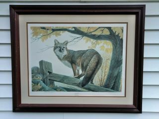Vintage John A Ruthven Signed Gray Fox Print 750/1500 Woodland Series