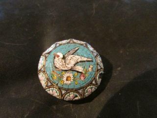 Lovely Victorian Rare Quality Micro Mosaic Dove Brooch