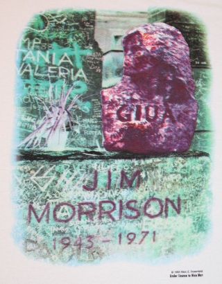 Xl Vtg 90s 1995 Jim Morrison Death Certifcate The Doors Licensed T Shirt