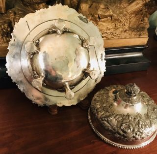 Antique Early Meriden Britannia Silver Butter Dish Repose Lion Paw & Shell Foot 5