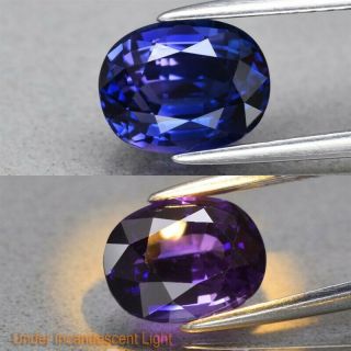 Rare 2.  41ct 8.  3x6.  5mm If Oval Natural Color Change Sapphire,  Heated Only