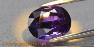 Rare 2.  41ct 8.  3x6.  5mm IF Oval Natural Color Change Sapphire,  Heated Only 3