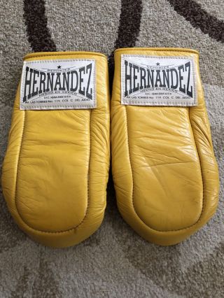 Vintage Rare Hernandez Boxing Bag Gloves,