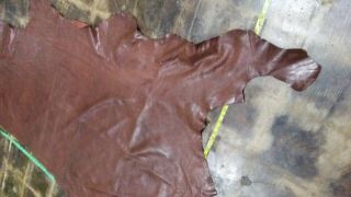 Cowhide Leather Skin Cow Hide Vintage Brown 35 " X 60 " Inches.  4 Oz.
