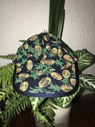 Vtg Vintage Patagonia Pineapple Panel Hat Cap Rare