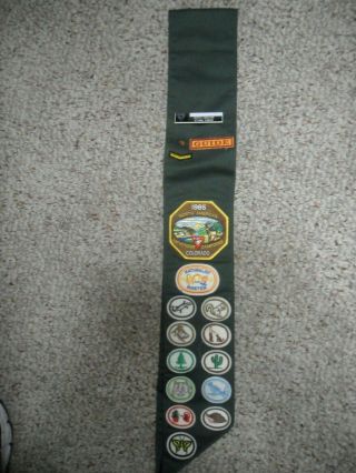 Vintage Boy Scout Leader Deputy Director Sash With Patches & Badges Ds425
