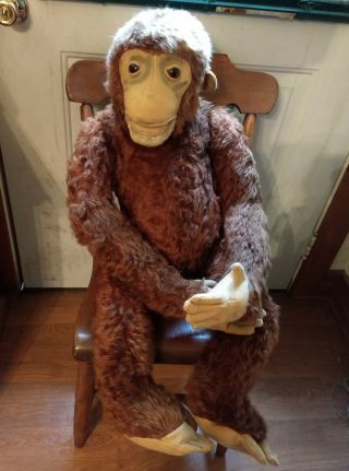 Antique Vintage Steiff Jointed Chimpanzee Jocko Mohair Monkey 1940s