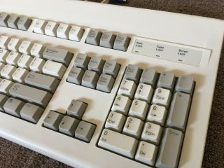 Vintage Dell PS/2 AT101W CLICKY Mechanical Keyboard GYUM90SK ALPS 4