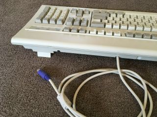 Vintage Dell PS/2 AT101W CLICKY Mechanical Keyboard GYUM90SK ALPS 5