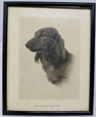 Antique Vintage Signed Dog Dachshund Pencil Drawing Print Signed
