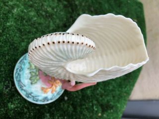 MID 19thC ROYAL WORCESTER NAUTILUS SHELL VASE WITH CORAL ARMS OTHER c1867 11
