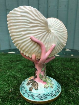 Mid 19thc Royal Worcester Nautilus Shell Vase With Coral Arms Other C1867
