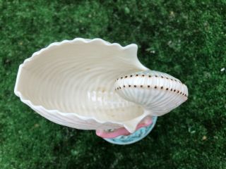 MID 19thC ROYAL WORCESTER NAUTILUS SHELL VASE WITH CORAL ARMS OTHER c1867 9