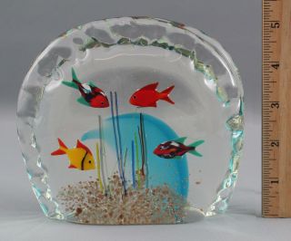 Vintage 1950s Murano Barbini Cenedese Art Glass Fish Aquarium Sculpture,  Nr