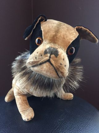 RARE Early Prewar Velvet French bulldog 9