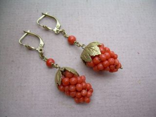 Antique Victorian Wonderful Natural Red Coral Grape Earrings 9ct Gold Fittings
