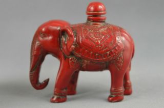 ASIA CORAL CARVE LIFELIKE ELEPHANTS RARE DELICATE LUCKY AMUSING SNUFF BOTTLE 2