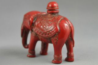 ASIA CORAL CARVE LIFELIKE ELEPHANTS RARE DELICATE LUCKY AMUSING SNUFF BOTTLE 3
