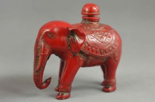 ASIA CORAL CARVE LIFELIKE ELEPHANTS RARE DELICATE LUCKY AMUSING SNUFF BOTTLE 4