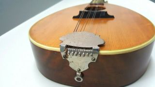 Vintage Levin Mandolin Model 440 (1933) 5