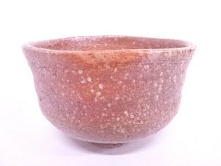 73224 Japanese Tea Ceremony Shigaraki Ware Tea Bowl / Chawan Artisan Work