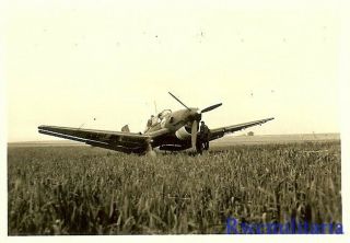 Best Luftwaffe Ju - 87 Stuka Dive Bomber W/ Staffel Emblem (st.  G.  2)