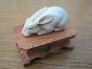 Good Quality Hand Carved Japanese Okimono Of A Hare Rabbit In Deer Bone On Stand